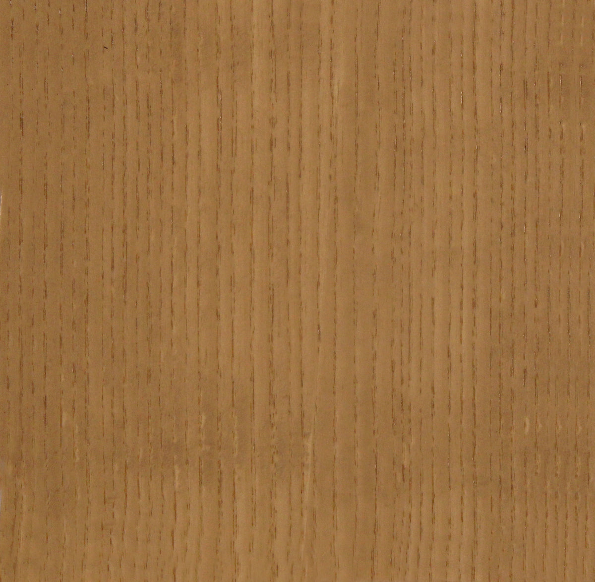 Ash Beehive Buzz