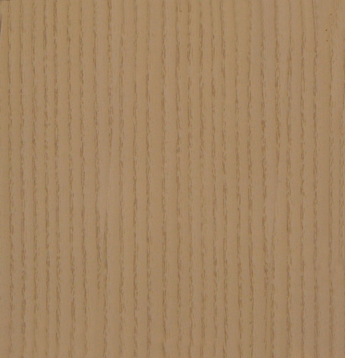 Ash Macaroon Cream