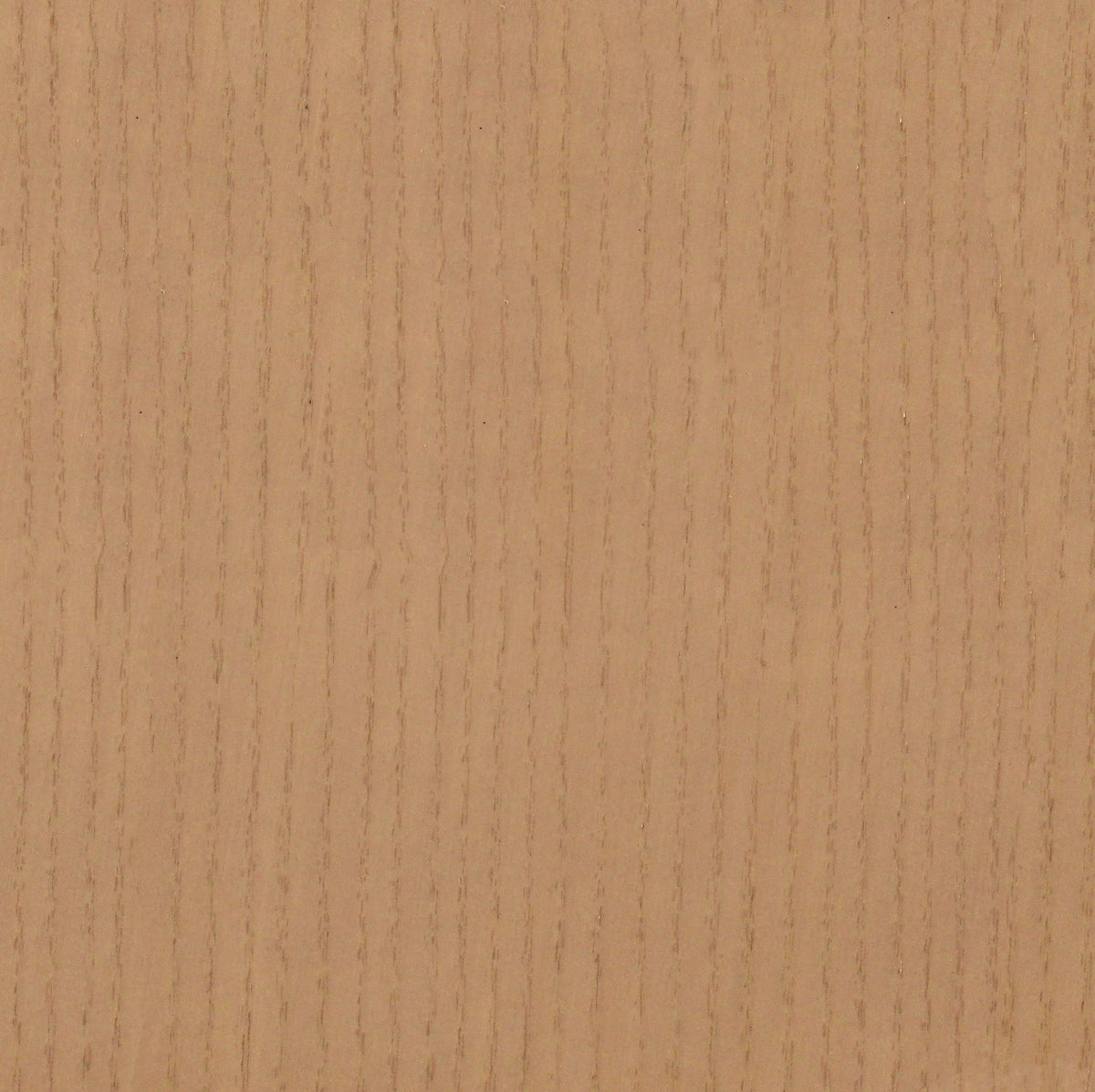 Ash Hazelnut Flour