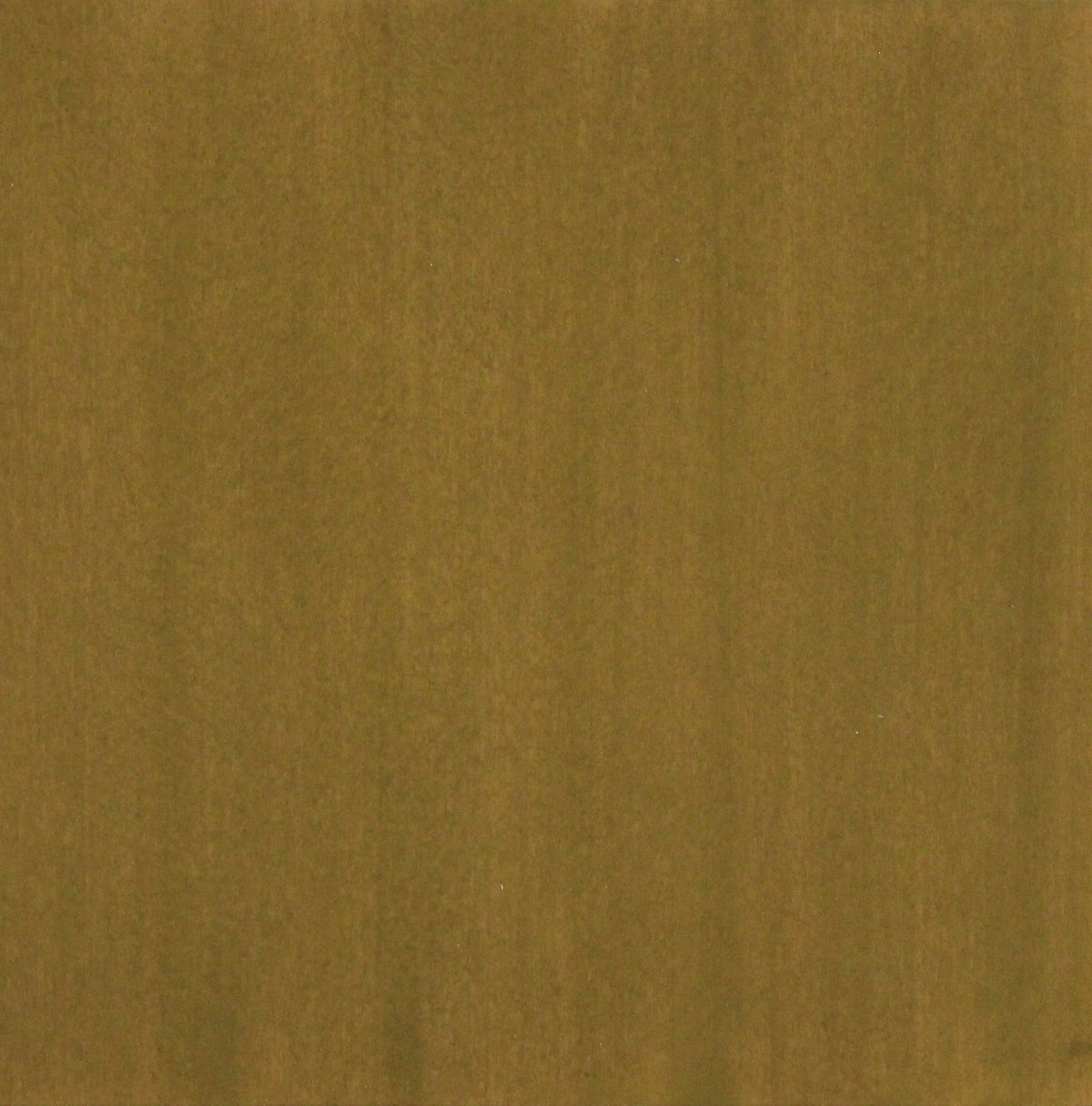 Beech Aceituna Green
