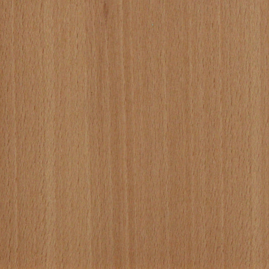 Beech Natural