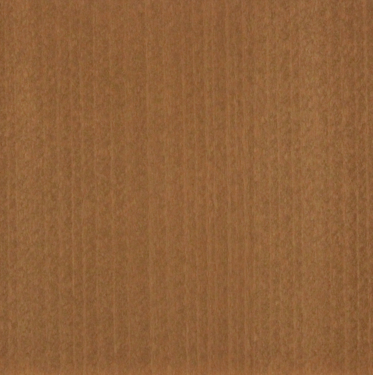 Beech Khaki Dust