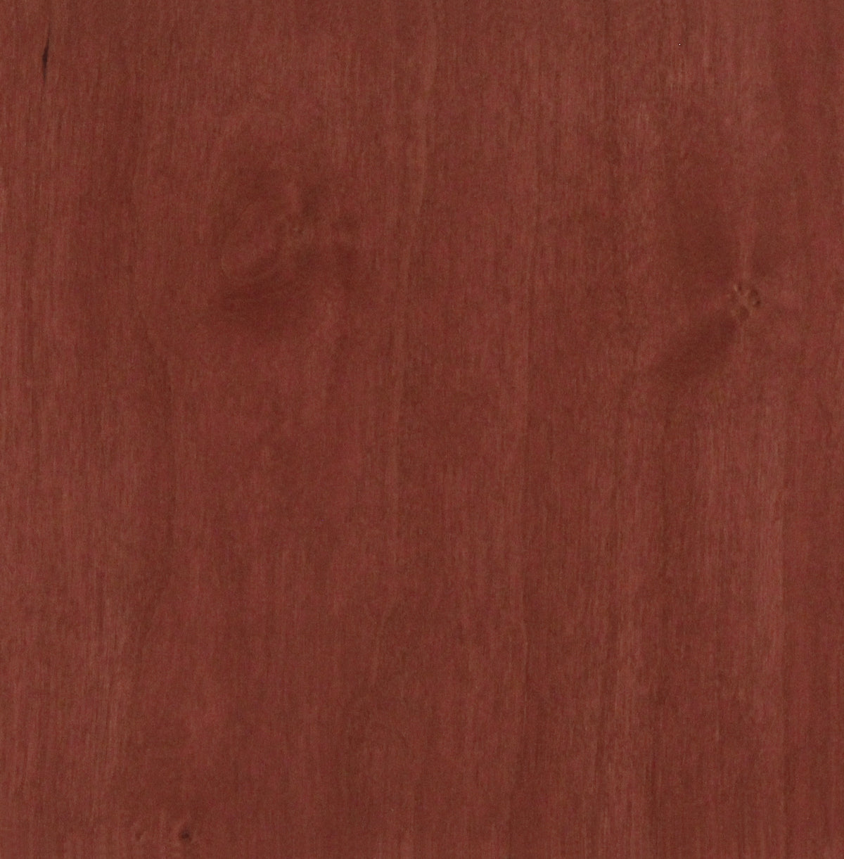 Cherry Wine Red