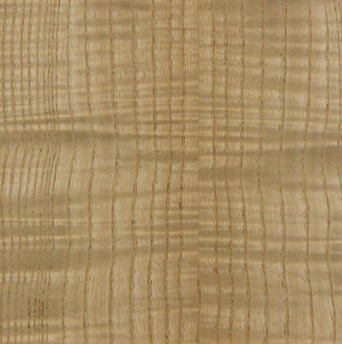 Ash Natural Curly