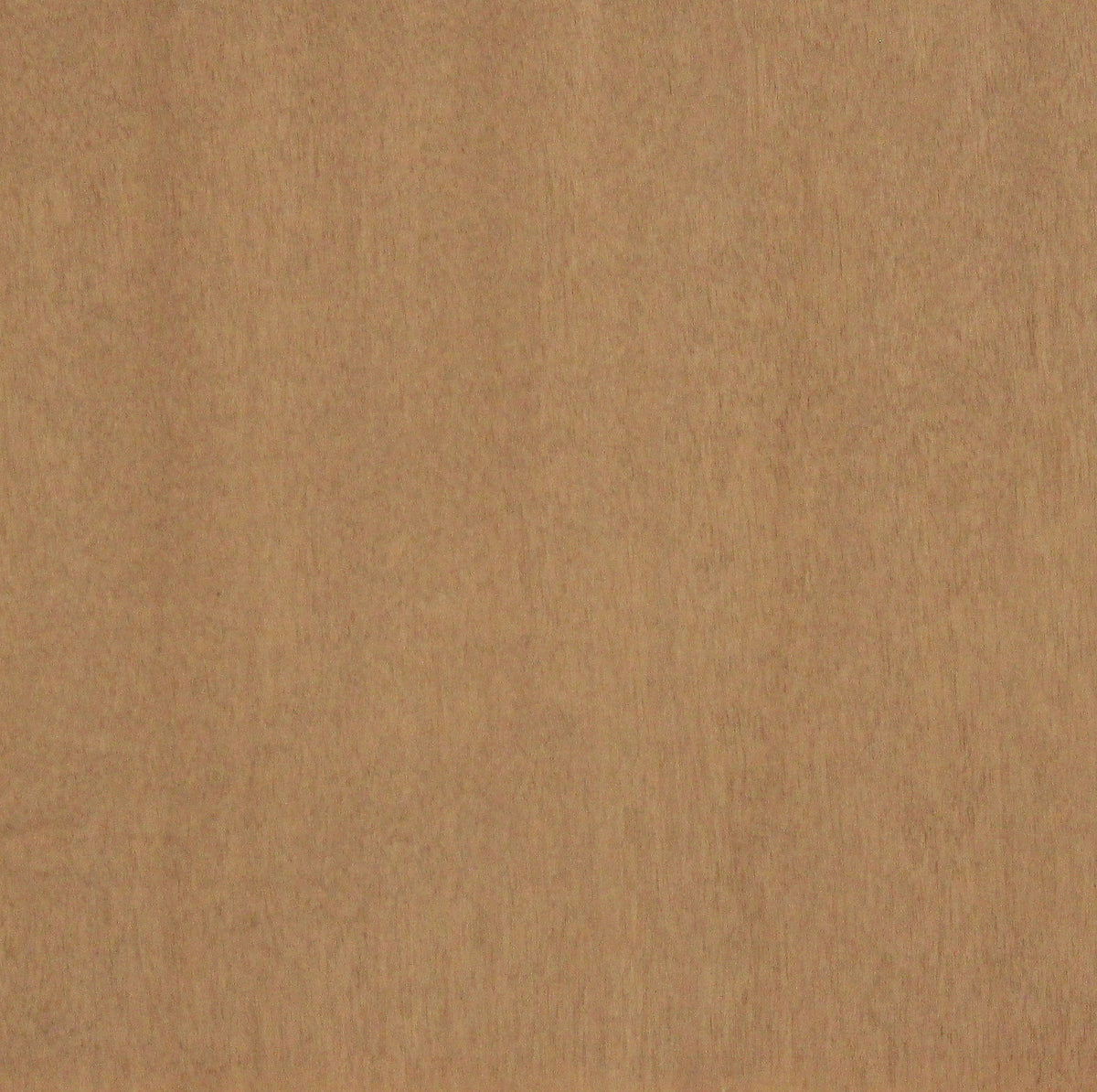 Maple Pine Nut