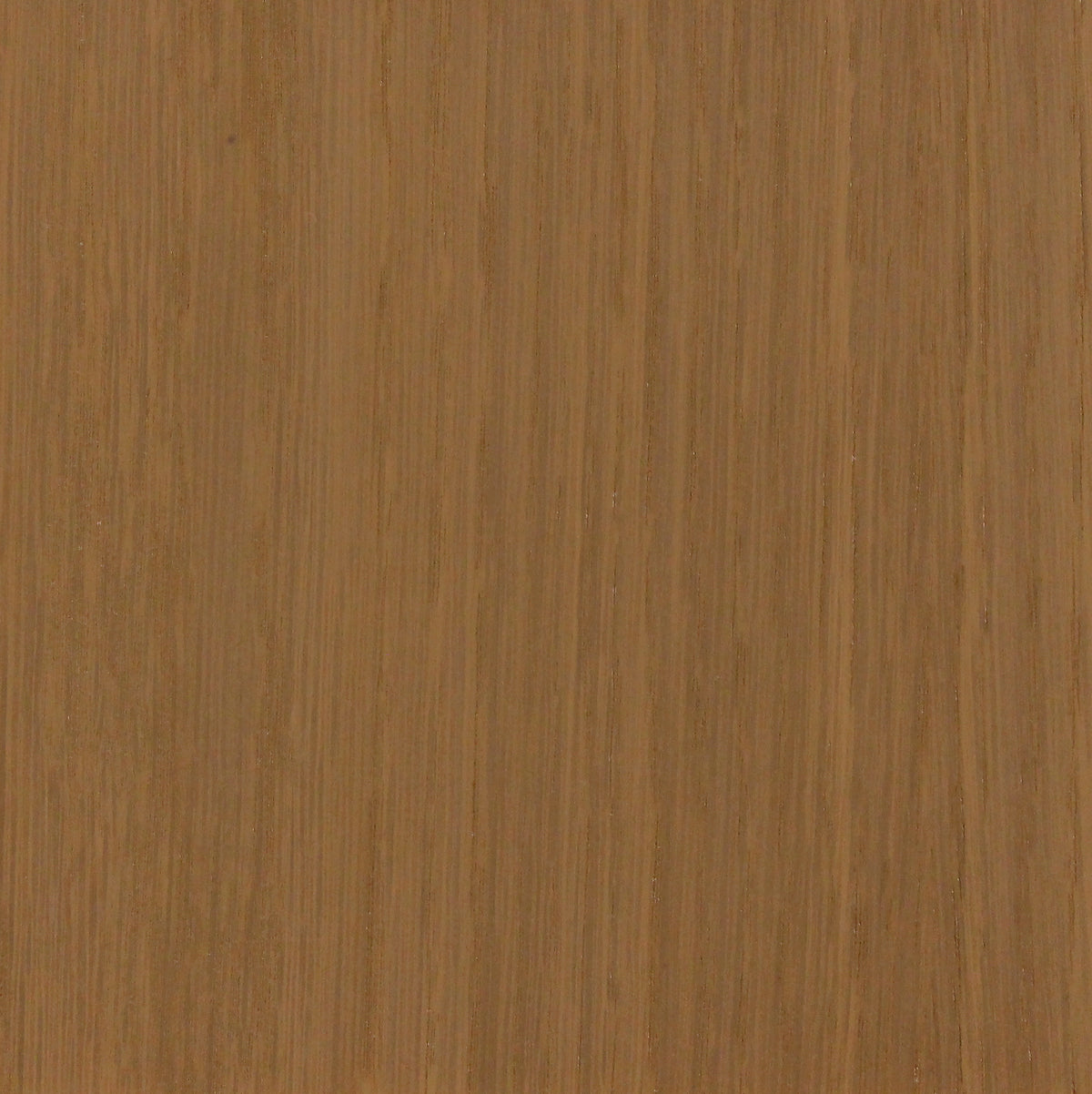 White Oak Spanish Cork