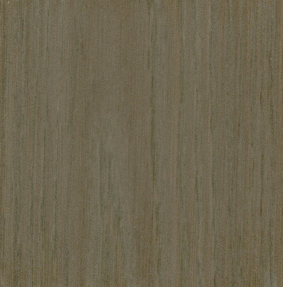 White Oak Gentle Teal