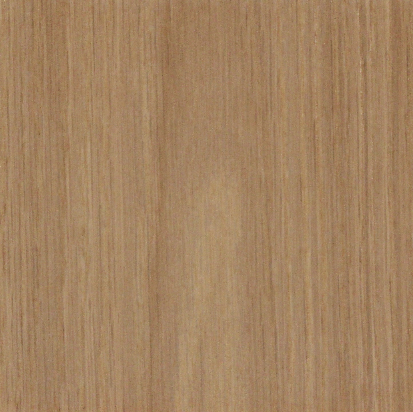 White Oak Ground Ginger