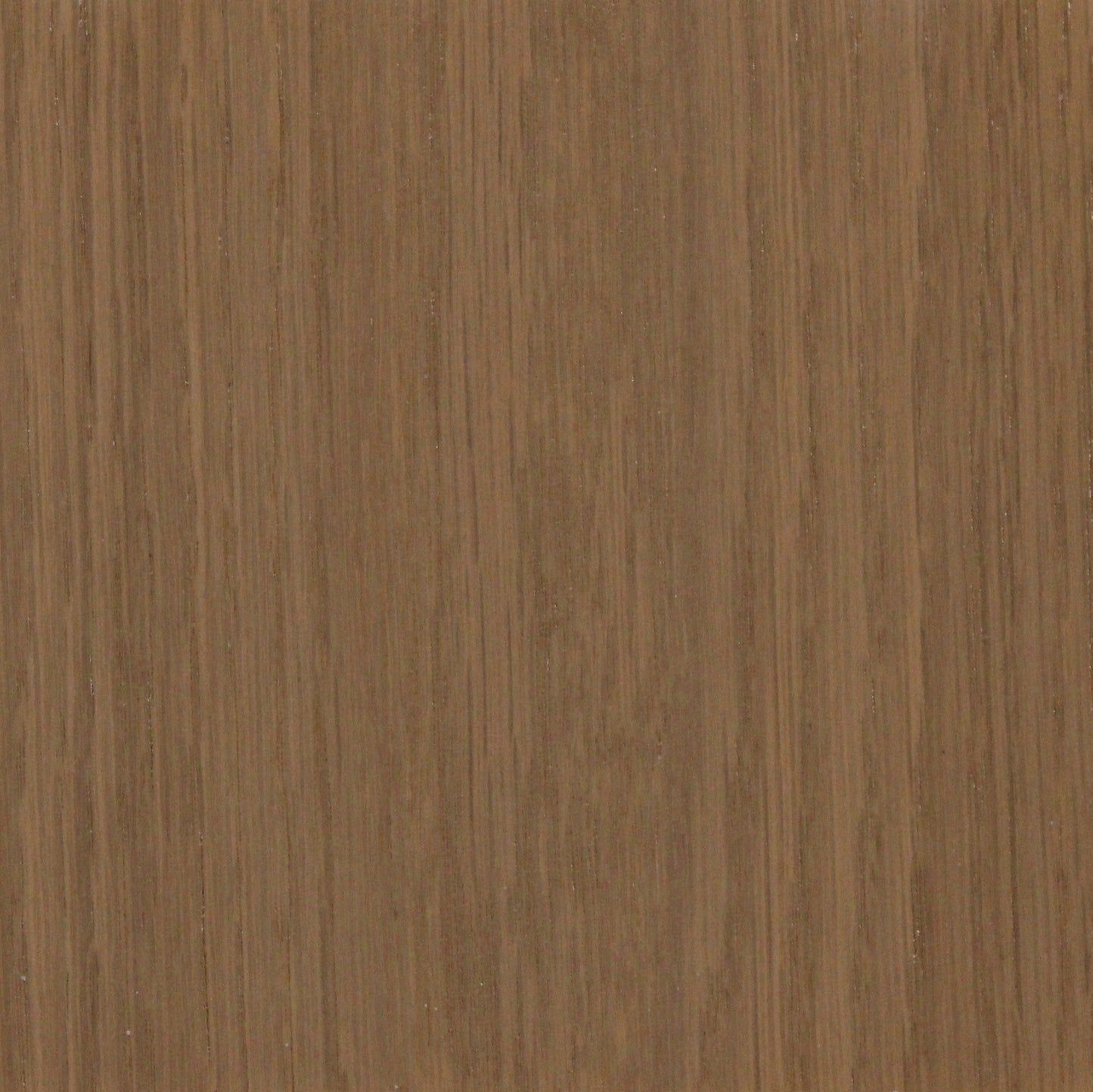 White Oak Buck Antler