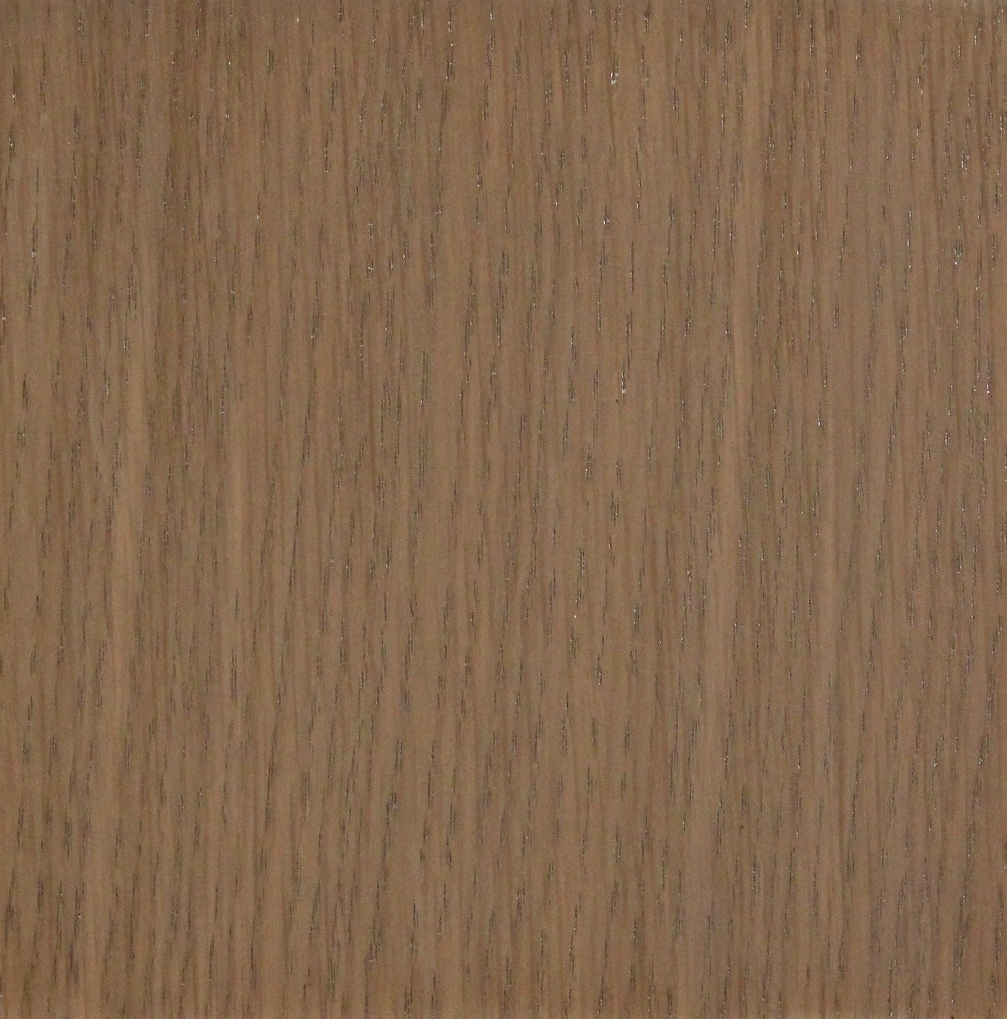 White Oak Oatmeal Cookie