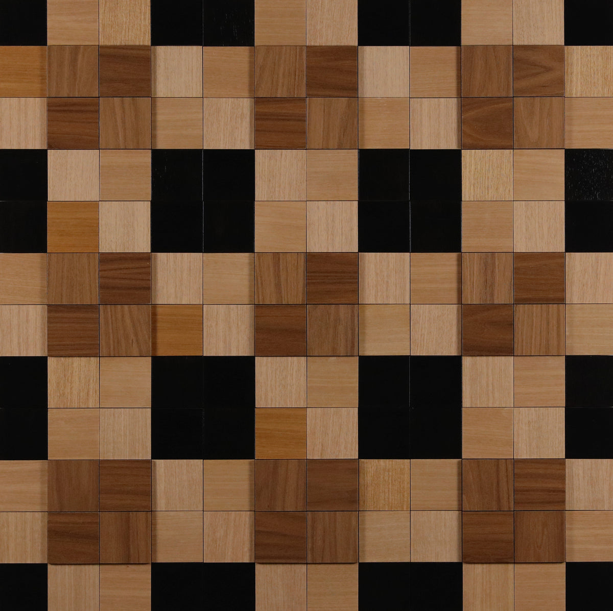 Tortoise Shell