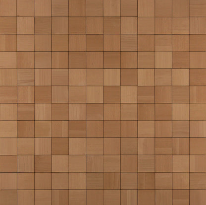Beech QS Clear
