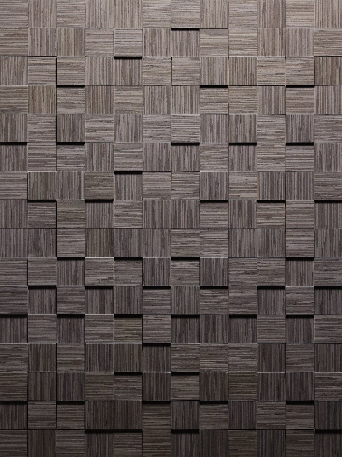 Evenly Beachwood Clear